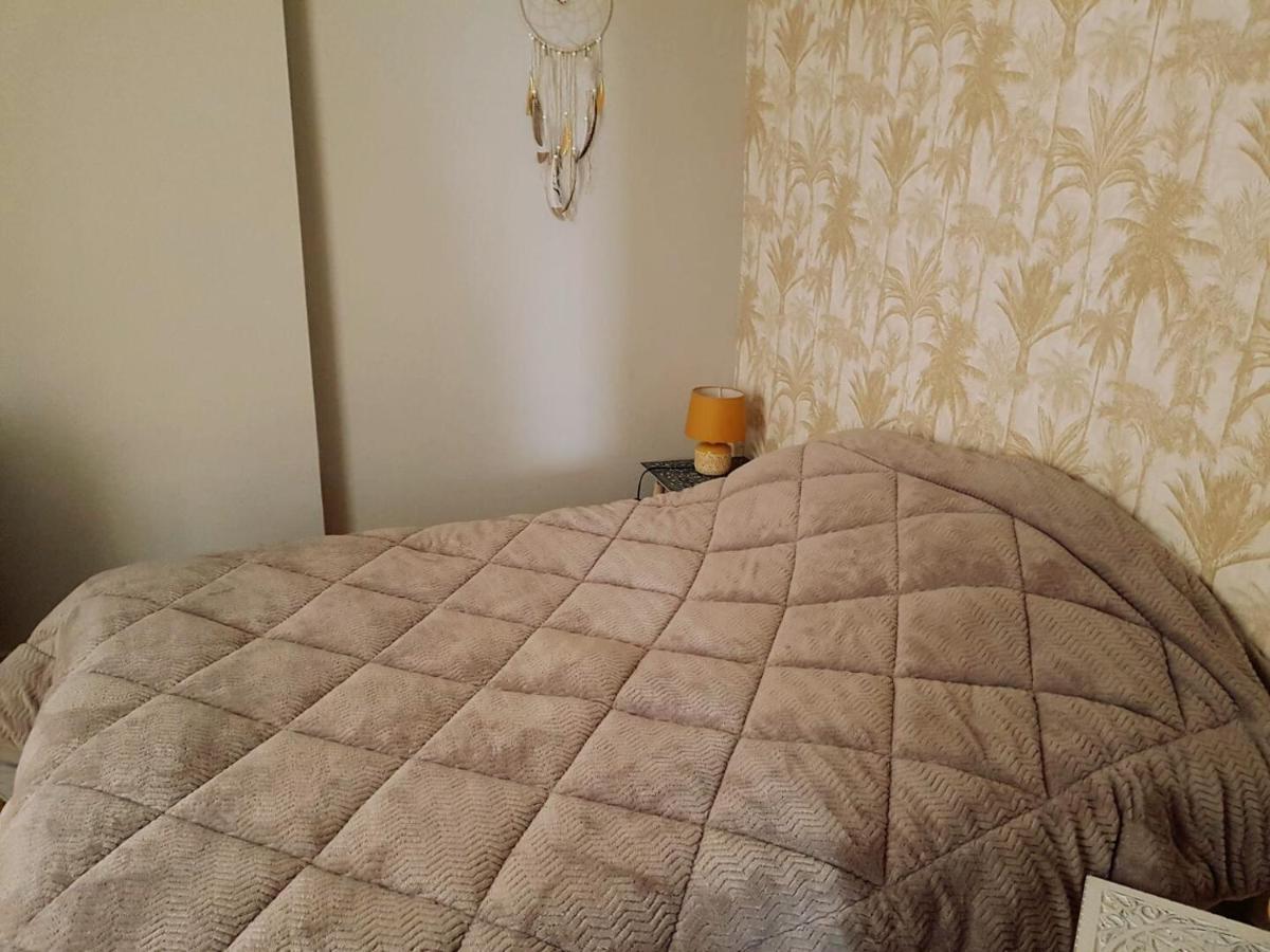 Intramuros Charmant 30M2 Renove سان مالو المظهر الخارجي الصورة